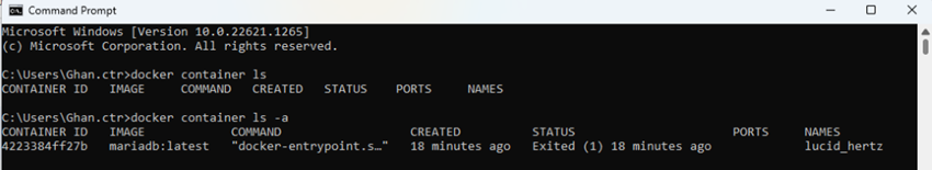Installing SQL Server into Docker